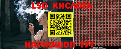 шишки Кимры